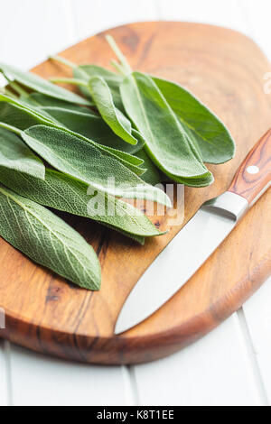 Salvia officinalis foglie di salvia sul tagliere di legno. Foto Stock