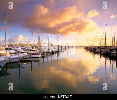 La Nuova Zelanda. Auckland. Yacht in marina a sunrise. Foto Stock