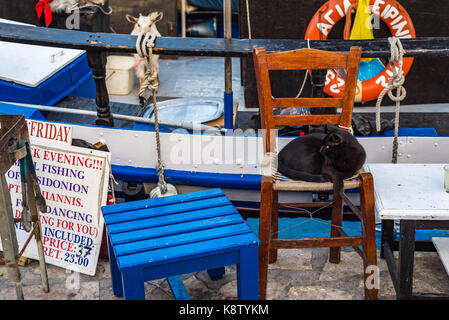 Isola di Samos, Grecia - 18 Settembre 2016: gatto nero in barca da pesca a Pythagorion/Pythagoreio Foto Stock