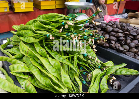 Stinky bean per vendita a flea e mercato di antiquariato in Ipoh, la città capitale di Perak. Foto Stock