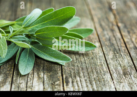 Salvia officinalis foglie di salvia sul vecchio tavolo in legno. Giardino salvia. Foto Stock