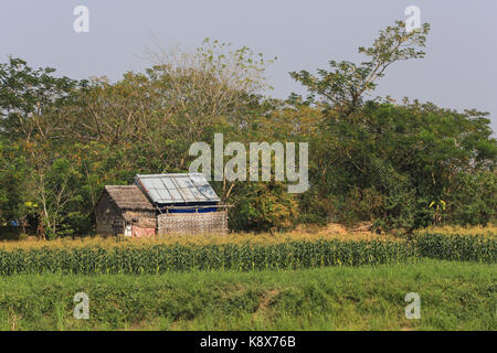 Una capanna con il tetto di paglia accanto a un cornfield lungo il fiume Irrawaddy in Myanmar (Birmania). Foto Stock