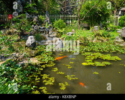 In prossimità di un laghetto artificiale nel patio con pesci koi swiming, nella città di Hue in Vietnam Foto Stock