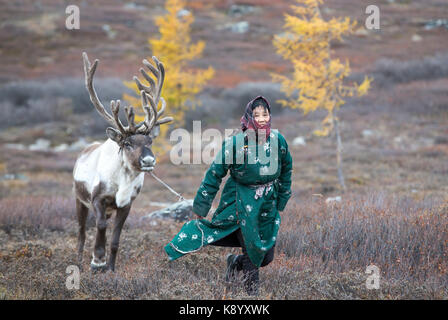 Tsaatan donna con le renne nel nord del paesaggio mongolo Foto Stock