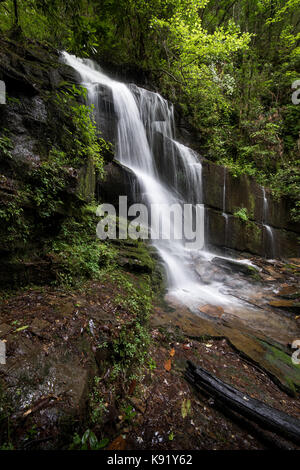 Bad ramo ha le sue sorgenti sul lato nord della montagna Oakey, appena dietro l'angolo da Crow Creek. Entrambi i flussi vuota nel vicino lago di seme. Le cascate sono essi stessi situato in una baia isolata e sono in ombra la gran parte della giornata. Essi sono di circa 17 m. alto e sono meglio visualizzati quando il flusso di acqua è da moderato a elevato. Durante i mesi secchi possono diventare un mero trickle. Foto Stock