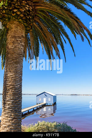 Palm tree incorniciato Crawley Boatshed bordo noto anche come il Blu casa in barca sul fiume Swan nella baia di Matilda, Crawley, Perth, Western Australia Foto Stock