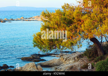 Mare Egeo costa paesaggio con pino, vista al tramonto dalla spiaggia karidi (Calcidica, Grecia). Foto Stock