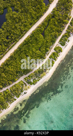 Vista aerea di una remota spiaggia tropicale circondata da una foresta Foto Stock