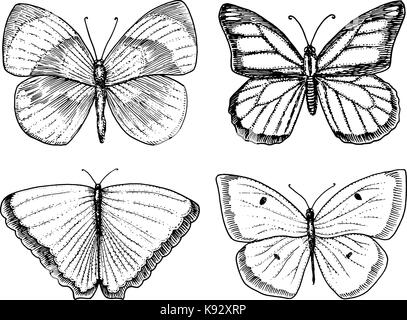 Tatuaggio o boho t-shirt o scrapbooking design. mistico simbolo esoterico di libertà e di viaggio. farfalla o schizzo di insetti. raccolta entomologica. incisi disegnati a mano nel vecchio disegno e stile vintage Illustrazione Vettoriale