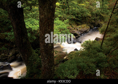 Le cascate di Leny e Garbh Uisge, vicino kilmahog, Loch lomond e il Trossachs national park Foto Stock