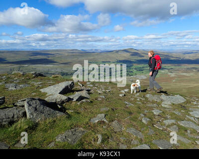 Una donna e il suo cane a camminare su ingleborough, uno del yorkshire Tre Cime di Lavaredo, Yorkshire Dales National Park, il Yorkshire, Inghilterra Foto Stock