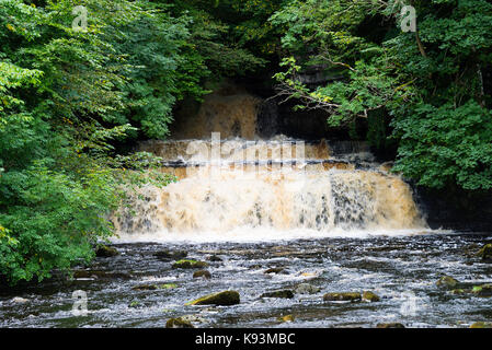 La bella forza elastica sulla cascata Cotter Beck vicino Hawes nel Yorkshire Dales National Park nello Yorkshire England Regno Unito Regno Unito Foto Stock