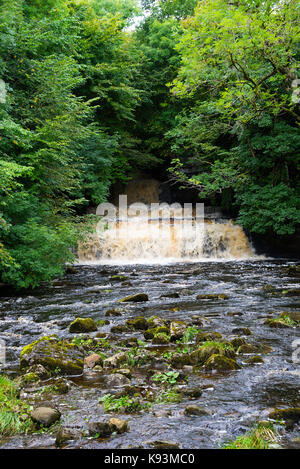 La bella forza elastica sulla cascata Cotter Beck vicino Hawes nel Yorkshire Dales National Park nello Yorkshire England Regno Unito Regno Unito Foto Stock