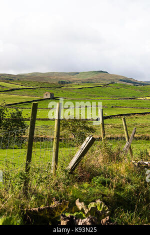 La vista verso Gayle e Dodd cadde da Bainbridge nel Yorkshire Dales National Park nello Yorkshire England Regno Unito Regno Unito Foto Stock