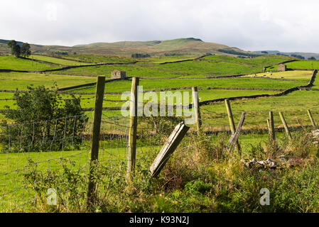 La vista verso Gayle e Dodd cadde da Bainbridge nel Yorkshire Dales National Park nello Yorkshire England Regno Unito Regno Unito Foto Stock