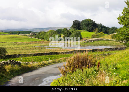 La vista verso Gayle e Dodd cadde da Bainbridge nel Yorkshire Dales National Park nello Yorkshire England Regno Unito Regno Unito Foto Stock