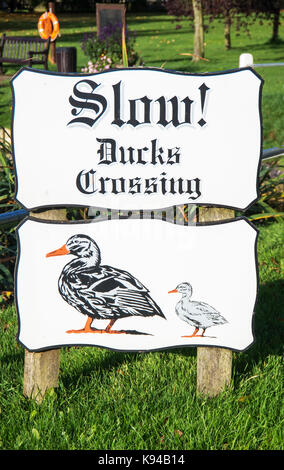 Blackmore lento attraversamento anatre segno da laghetto, essex, Foto Stock