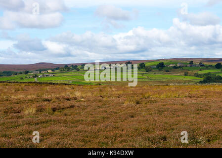 Fattorie remoto a Pateley Moor con distante Heather Moorland vicino Brimham Rocks ponte Pateley North Yorkshire England Regno Unito Regno Unito Foto Stock