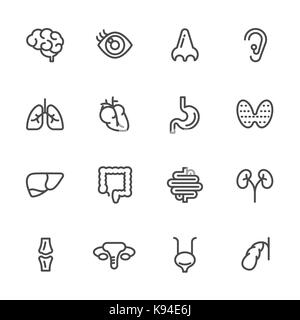 Viscerale e icone di anatomia, vettore riga set di icone Illustrazione Vettoriale