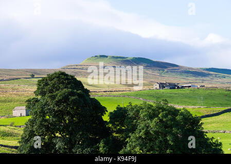 La vista verso Gayle e Dodd cadde da Bainbridge nel Yorkshire Dales National Park nello Yorkshire England Regno Unito Regno Unito Foto Stock