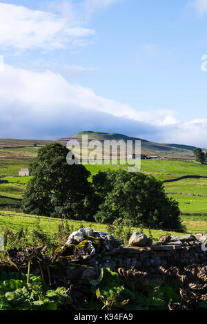 La vista verso Gayle e Dodd cadde da Bainbridge nel Yorkshire Dales National Park nello Yorkshire England Regno Unito Regno Unito Foto Stock