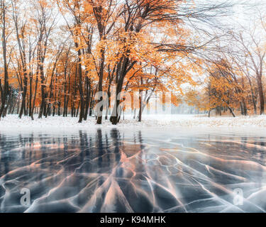 Ottobre mountain foresta di faggio con la prima neve invernale e blu ghiaccio e crepe sulla superficie del ghiaccio. inverno. ucraina, europa Foto Stock