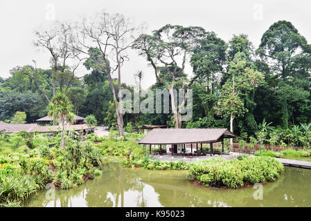 Singapore Botanic Gardens zone umide. un rifugio è costruito tra le zone umide sezione per offrire un tetto e un luogo di riposo per i visitatori. Foto Stock