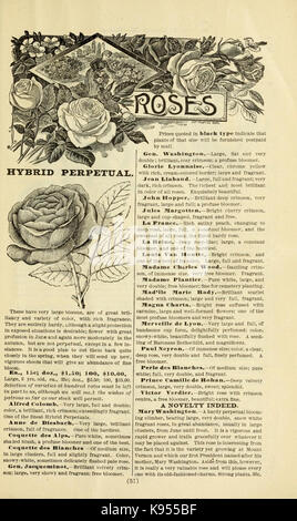 Lovett il catalogo illustrato della frutta e alberi ornamentali e impianti per l'autunno del 1891 (17000945252) Foto Stock