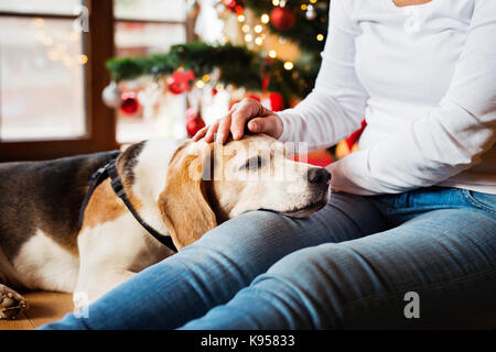 Irriconoscibile senior donna seduta sul pavimento nella parte anteriore del albero di natale con il suo cane, di riposo. Foto Stock