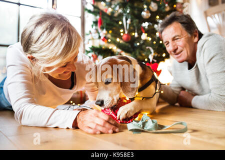 Coppia senior sdraiato sul pavimento di fronte illuminata albero di Natale all'interno di casa loro con il loro cane aggrovigliato nella catena di luci, disimballare una pres Foto Stock