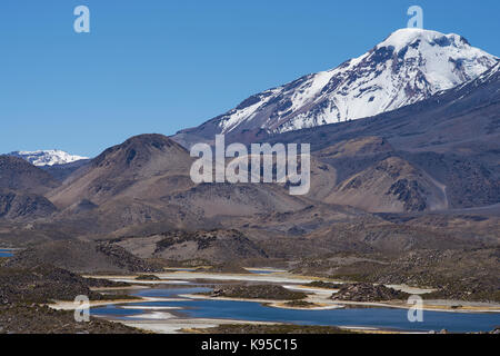 Vulcano pomerape in lauca parco nazionale di alta sul altiplano del nord del Cile. in primo piano laghi conosciuta come Lagunas de cotacani Foto Stock