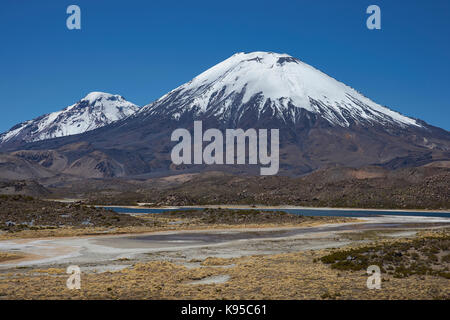 I vulcani parinacota e pomerape in lauca parco nazionale di alta sul altiplano del nord del Cile. in primo piano laghi conosciuta come Lagunas de cotacani Foto Stock