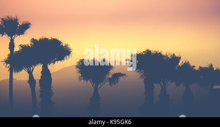 Retrò stile vintage tramonto palme contro un deserto sfondo montano in Palm Springs stati uniti d'America Foto Stock