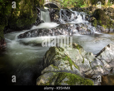 Ho clambered sotto un vecchio albero di Yew al di sotto del ponte di sunnybank vicino a Coniston Water oggi per la cattura di questa vista fino al ponte da un visto raramente, o photog Foto Stock