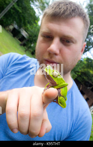 Un uomo con un bianco rivestito di foglia (rana Phyllomedusa vaillantii in Kaw montagne, Guiana francese Foto Stock