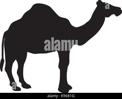 In bianco e nero il vettore silhouette di un cammello Illustrazione Vettoriale