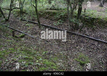 Sciavero a ferroviarie dismesse; West Grinstead Sussex; chiuso il 7 marzo 1966 Beeching seguente relazione Foto Stock