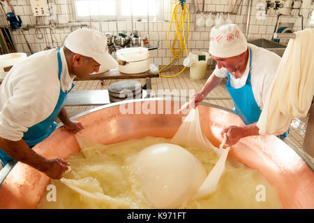 Casari preparare per avvolgere e sollevare la cagliata da un rame iva durante il formaggio parmigiano-reggiano il processo di fabbricazione Foto Stock