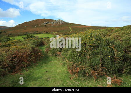 Bell Tor in autunno, Dartmoor Devon, Inghilterra, Regno Unito Foto Stock