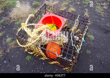 Gamberi di fiume pot sulla spiaggia, Ngawi, Cape Palliser, Wairarapa, Isola del nord, Nuova Zelanda Foto Stock