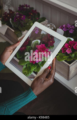 Close-up di fiorista femmina tenendo la fotografia sul digitale compressa del mazzo di fiori Foto Stock