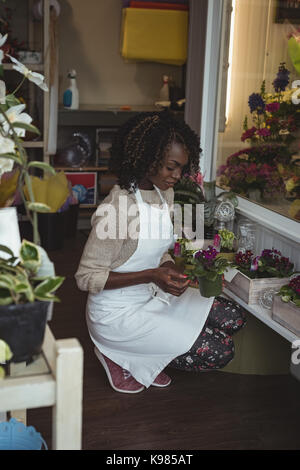 Fiorista femmina disponendo dei fiori nel negozio di fiori Foto Stock
