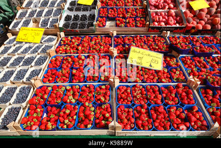 Fragole tedesche fresche in una bancarella di mercato, Brema, Germania, Europa i Frische Deutsche Erdbeeren (Fragaria) und Brombeeren in Schalen auf einem Mar Foto Stock