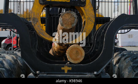 Attrezzatura pesante carico con clipper log tagliati. Grande caricatore di log e le operazioni nel cantiere di log in corrispondenza di un registro di conifere Foto Stock