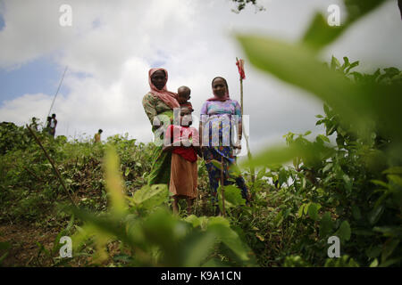 2 settembre 2017 - ukhiya, bangladesh - Myanmar è di etnia rohingya musulmani pulire una collina per costruire la tenda di fortuna in ukhiya, Bangladesh. (Credito immagine: © suvra kanti das via zuma filo) Foto Stock