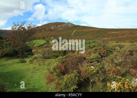 Bell Tor in autunno, Dartmoor Devon, Inghilterra, Regno Unito Foto Stock