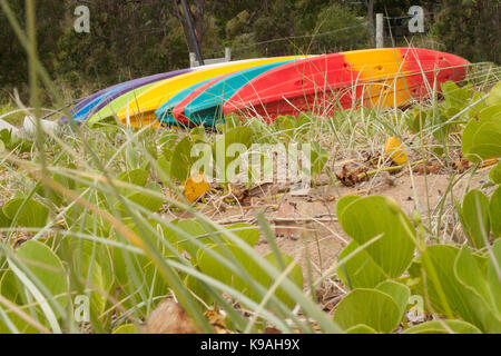 Una luminosa e coloratissima linea di kayak sul foreshore della spiaggia Foto Stock