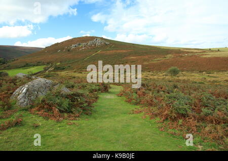 Bell Tor in autunno, Dartmoor Devon, Inghilterra, Regno Unito Foto Stock