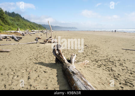 Tofino, British Columbia, Canada - 9 settembre 2017: lunga spiaggia vicino a Tofino Foto Stock