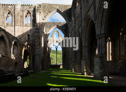 Tintern Abbey, Monmouthshire, Wales, Regno Unito. L'abbazia fu fondata nel 1131. Foto Stock